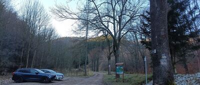 Jedlina Zdrój, rozejście szlaków