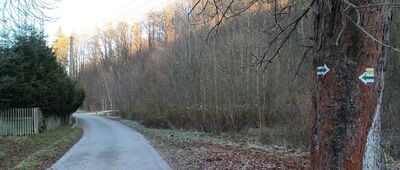 Jedlina Zdrój, ul. Ogrodowa