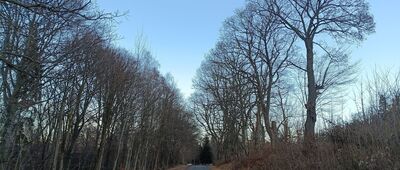 Glinica, wiadukt ↔ Jedlina Zdrój, rozdroże przy stacji