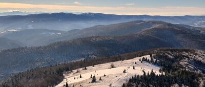 Mogielica [Polana Stumorgowa z wieży widokowej na Mogielcy]