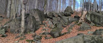 Tąpadła, skrzyżowanie ↔ Pod Skalną [Niebieski szlak]