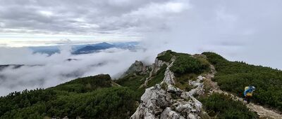 Sivý vrch ↔ Biela skala, horáreň