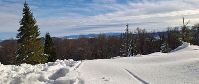 Przełęcz Halna ↔ Rycerzowa Wielka