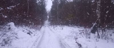 Niskie Brodno ↔ Skrzyżowanie szlaków