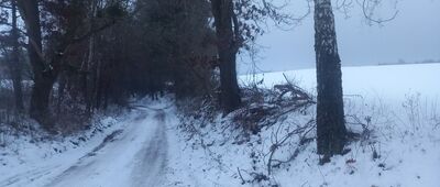 Niskie Brodno ↔ Skrzyżowanie szlaków