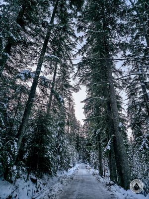 Niebieski szlak w Dolinie Filipka