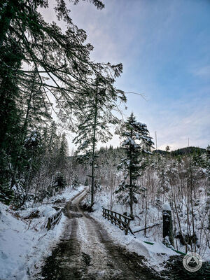Mostek nad Złotym Potokiem