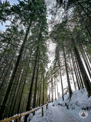 Niebieski szlak w Dolinie Filipka
