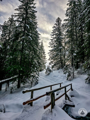 Mostek nad Złotym Potokiem przed Rusinową Polaną