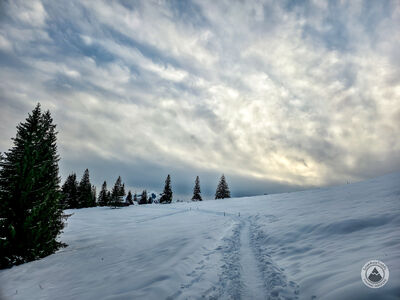 Rusinowa Polana (niebieski szlak od Wiktorówek)