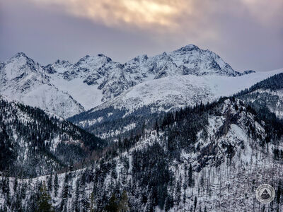 Lodowy Szczyt z Rusinowej Polany. Po lewej Kołowy Szczyt.