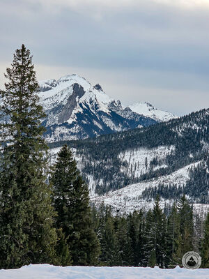 Hawrań z Rusinowej Polany