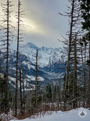 Gerlach z Rusinowej Polany