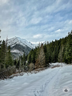 Wołoszyn i Koszysta z Rusinowej Polany