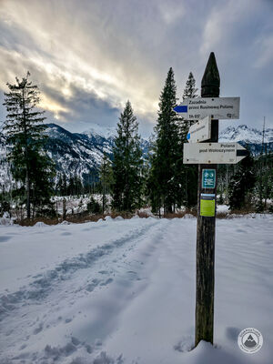 Czerwone Brzeżki - rozejście szlaków