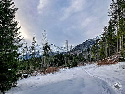 Czarny szlak za Czerwonymi Brzeżkami
