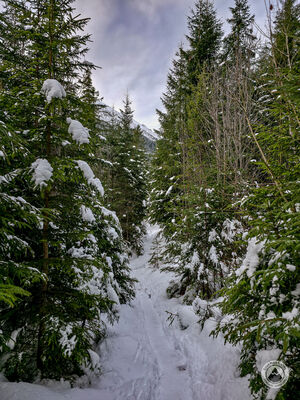 Czarny szlak na Polanę pod Wołoszynem