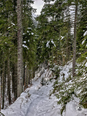 Czarny szlak na Polanę pod Wołoszynem
