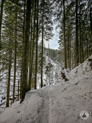 Czarny szlak na Polanę pod Wołoszynem