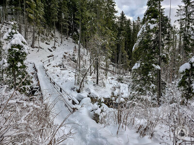 Mostek nad Waksmudzkim Potokiem