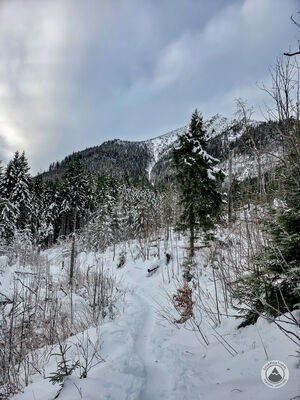 Czarny szlak na Polanę pod Wołoszynem