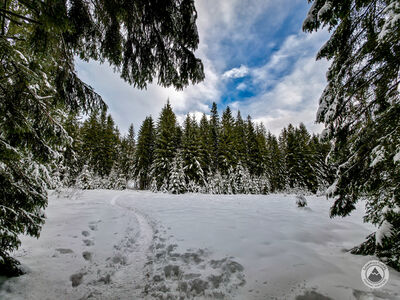 Polana pod Wołoszynem