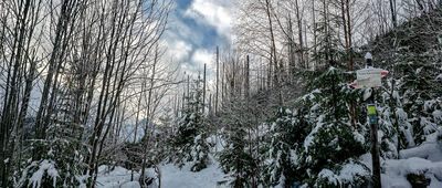 Polana Pod Wołoszynem [Skrzyżowanie szlaków na Polanie pod Wołoszynem]