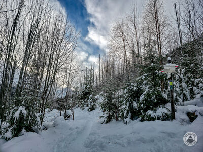 Skrzyżowanie szlaków na Polanie pod Wołoszynem