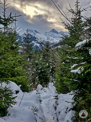 Czerwony szlak na Rówień Waksmundzką