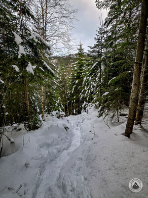 Czerwony szlak na Rówień Waksmundzką
