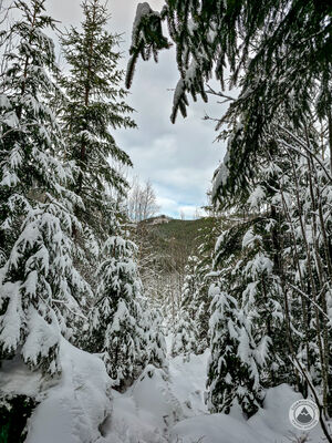 Czerwony szlak na Rówień Waksmundzką