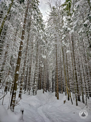 Czerwony szlak na Rówień Waksmundzką