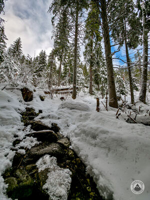 Czerwony szlak na Rówień Waksmundzką