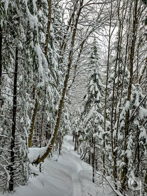 Czerwony szlak na Rówień Waksmundzką