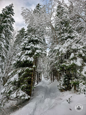 Czerwony szlak na Rówień Waksmundzką