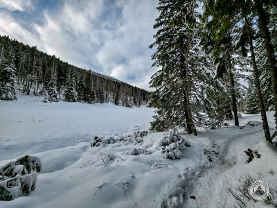 Rówień Waksmundzka