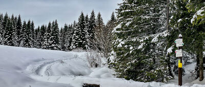 Rówień Waksmundzka, odejście na Gęsią Szyję [Rówień Waksmundzka - rozejście szlaków]