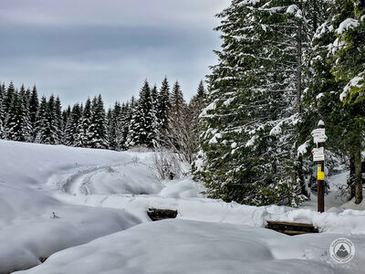 Rówień Waksmundzka - rozejście szlaków