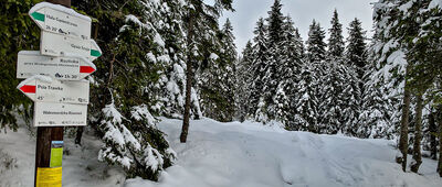 Rówień Waksmundzka, odejście na Gęsią Szyję [Rówień Waksmundzka - rozejście szlaków]