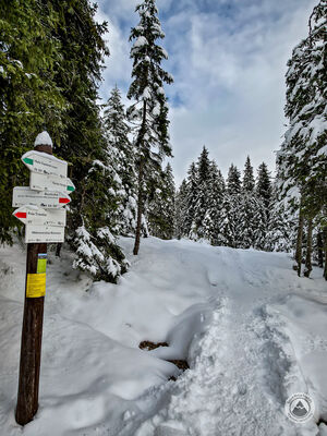 Rówień Waksmundzka - rozejście szlaków