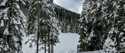 Rówień Waksmundzka, odejście na Gęsią Szyję [Rówień Waksmundzka]