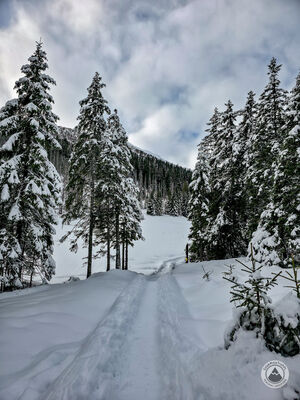 Rówień Waksmundzka