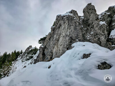 Gęsia Szyja 1489 m n.p.m.