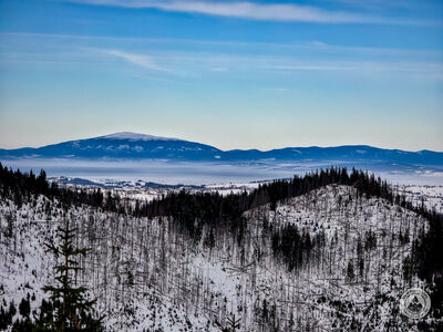 Babia Góra z Gęsiej Szyi