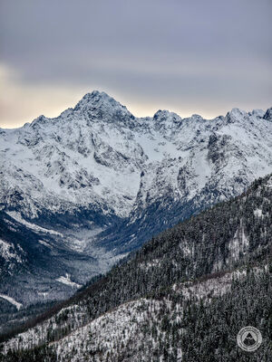 Gerlach z Gęsiej Szyi