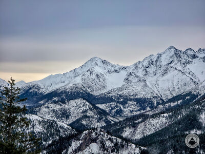 Jagnięcy Szczyt i Kołowy Szczyt z Gęsiej Szyi