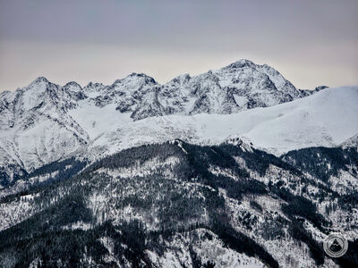 Od lewej: Kołowy Szczyt, Kieżmarski Szczyt, Czarny Szczyt, Mały Durny Szczyt, Baranie Rogi, Śnieżny Szczyt, Lodowy Zwornik, Lodowy Szczyt i Lodowa Kopa z Gęsiej Szyi