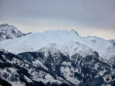 Szeroka Jaworzyńska z Gęsiej Szyi