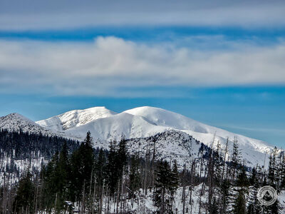 Czerwone Wierchy z Gęsiej Szyi