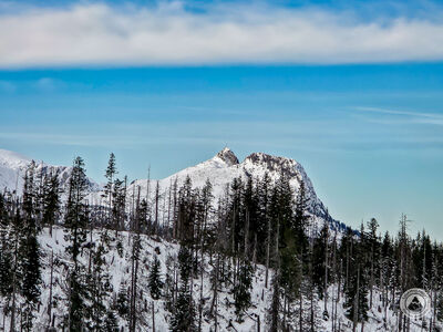 Giewont z Gęsiej Szyi